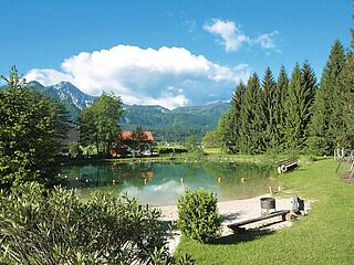 Hausgalerie von der Sommerreise der Ferienanlage Forellenhof in Kärnten in Österreich am Faaker See. Badesse im Sommer