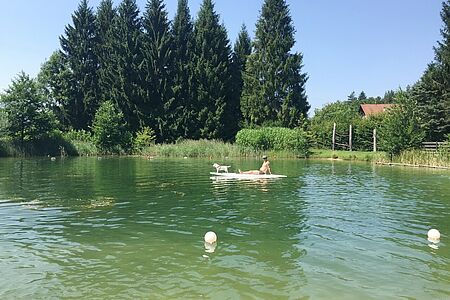 Badesee im sommer in der Hausgalerie von der Sommerreise der Ferienanlage Forellenhof in Kärnten in Österreich am Faaker See.